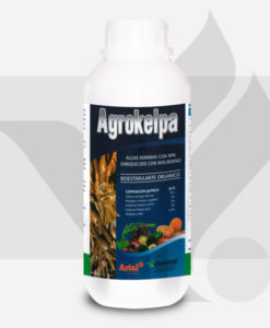 Agrokelpa-Algas-Marinas-NPK-Molibdeno-Bioestimulante-Organico