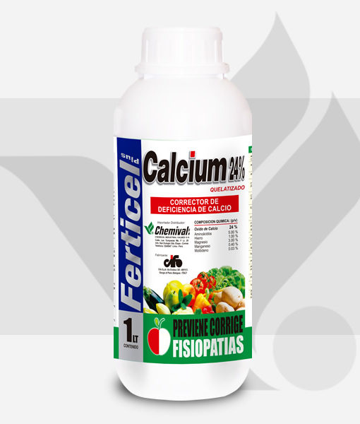 Calcicum24